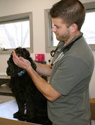 We are committed to providing quality medicine, dentistry and surgery for our patients. Meet Our Team Westgate Animal Clinic