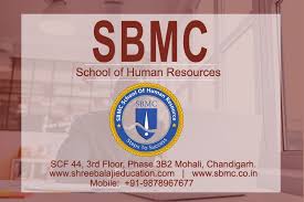 Sbmc School Of Human Resource Hr Training Internship Payroll Recruitment Pms Training Marketing Courses Digital Marketing Training Training Center