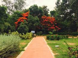 They create a sound barrier evergreen plants are the most common choice for privacy screens as they do not lose their leaves in the winter. 14 Natural Garden Screening Ideas Claire Davies Interiors Ltd