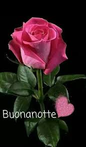 Chi ama l'aria aperta e il verde si bea delle meravigliose forme e del perturbante profumo di fiori e piante. Buonanotte Ombre Di Fiori Fiori Fiori Rosa