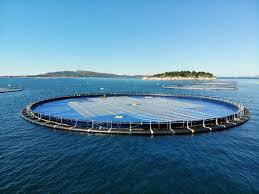 We have redesigned our website to make your experience easier on all of your devices! Dnv Gl Awards First Of Its Kind Floating Solar