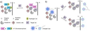 Prank pacar minta pap tt asli tonton videonya sampai selesai biar paham dan gak salah paham ok. Ion Selective Optodes Alternative Approaches For Simplified Fabrication And Signaling Sciencedirect