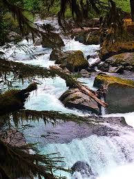 Official website of the olympic games. Staircase Olympic National Park Washington Olympic National Park National Parks Outdoor