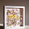 Pressed flowers in glass frame. 3