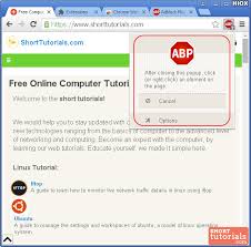 Its not good on a computer with a big screen too as it affects childs study and health. How To Block Unwanted Element Using Adblock Plus In Chrome