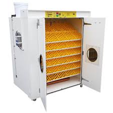 نتیجه جستجوی لغت [incubator] در گوگل