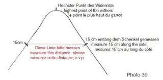 Maximale auflagefläche der sattel sollte in jedem fall hinter der schulter liegen, ca. Pferdeladen Online De Mattes Tunnel Fellsattel