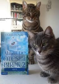 Moonlightcat13 Allah De Otesini Birak 2 Niyet Ugur Kosar Okunacak Kitaplar Kitap Allah