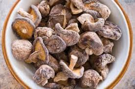 Comment Congeler Des Cepes Recette Cepes Cuisiner Des Cepes Et Cepes
