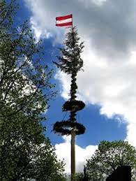 Als maibaum wurde ursprünglich nur die birke ausgewählt, weil sie als erste aus. Maibaumstehlen Brauch Oder Strafe Noe Orf At