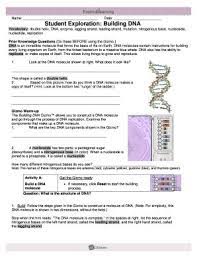 Gizmo answer key pdf documents building dna answer key vocabulary double helix dna enzyme lagging strand leading strand mutation nitrogenous ribosomes are responsible for protein creation in the cell they take the data transferred by rna ribonucleic acid from the dna gizmo answer key. Read Online Student Exploration Building Dna Gizmo Answers Free Kindle