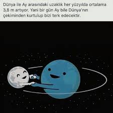 Olamazz Lutfen Gitme Gercekler Komik Ilginc Gercekler
