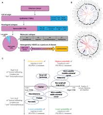 Back to portfolio next post previous post. Frontiers T Cell Receptor Therapy In The Treatment Of Ovarian Cancer A Mini Review Immunology