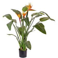 Do you have information on all the orange flower names? Fake Bird Of Paradise Flower Dalila Orange Violet 110cm O17x22cm Fake Flowers