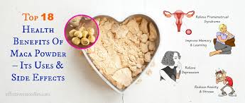 Top 18 Health Benefits Of Maca Powder Its Uses Side Effects