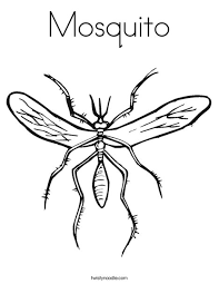 • how to draw : Mosquito Coloring Page Twisty Noodle