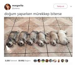 Anlamli Dusundurucu Eglenceli Guzel Komik Konusan Resimler Konusan Resimler Www Kizlarinsirlari Club Komik Seyler Komik Komik Goruntuler