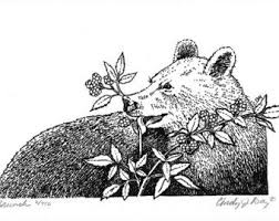 Pin On Bears And Berries