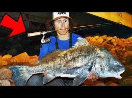 Two rods with enter the octagon.only 1 will. Dock Demon Ice Fishing Off 71 Best Deals Online