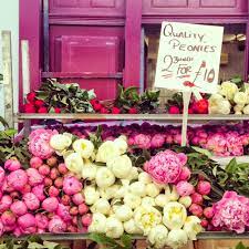Travel Diaries The Columbia Road Flower Market Columbia Road Flower Market Flower Market Peonies