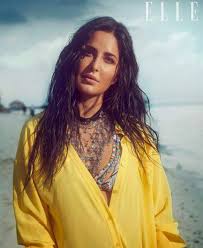 Katrina Kaif Stuns In Bikini katrina kaif stuns in bikini