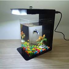 Disini tempatnya jual aquarium aquarium ikan hias, jangan lupa like, comen, & subscribe ya gays. View Aquarium Ikan Cupang Hias Aquarium Unik Pics