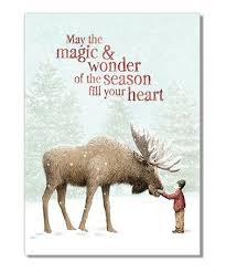 Magic And Wonder Holiday Greeting Card Set Of 20 Zulily Zulilyfinds Greeting Card Set Christmas Card Sayings Holiday Greetings