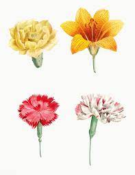 Download Premium Illustration Of Vintage Flowers Set Illustration 573944 Vintage Flowers Flowers Flower Drawing