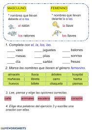 Ejercicios para practicar y aprender el género de los sustantivos o de los nombres en español. Ejercicio De Masculino Y Femenino