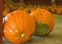 See more ideas about sweetest day, day, special person. 17 Sweetest Day Ideas Things To Do On Sweetest Day