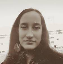 Bawk Bawk Chicken Truck