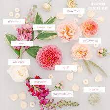 We did not find results for: Diy Floral Ceremony Backdrop By Bloom Culture Flowers Wedding Flower Types Expensive Flowers Types Of Flowers