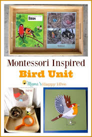 Bird Activities For Preschoolers Montessori Inspired Bird Unit Mama S Happy Hive In 2020 Montessori Activities Montessori Bird Unit Study
