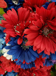 Check spelling or type a new query. Page 3 Hd Flower White Red Wallpapers Peakpx