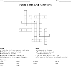 We did not find results for: Plant Parts And Functions Crossword Wordmint