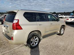 Image result for Satin Cashmere 2013 GX