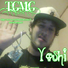 Stream Yoshi TGMG music