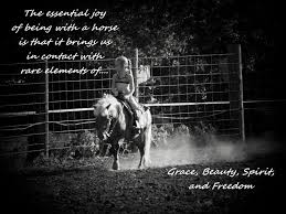  Horse Quotes And Sayings For Girls Quotesgram Horse Quotes Horses Horse Lover Quote