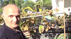 Istanbulda bahçe toprağı nereden alınır anadolu yakasında sizlere hizmet veriyoruz. Mugla Datca Hobi Bahcesi Toprak Hazirlama Bahce Kurulumu Peyzaj Youtube
