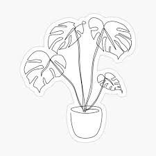 Monstera leaf monstera line drawing. Monstera Potted Houseplant Continuous Line Drawing Large Design Poster By Somewhereartsy Redbubble