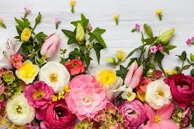 Fiori rosa sul legno con la parola buon compleanno. Auguri Di Compleanno Messaggi E Frasi Da Dire E Scrivere Articoli Da Lafiorista It