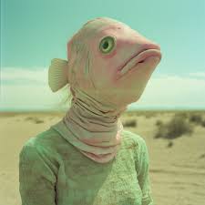 305 Fish Digital Arts for sale