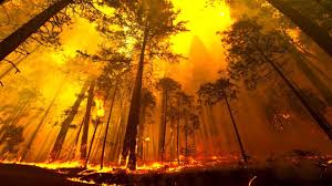 30 000 acres of land. Yosemite Forest Fire Time Lapse And Flyover Youtube