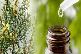 PHÂN BIỆT MỸ PHẨM THIÊN NHIÊN VÀ MỸ PHẨM THUẦN CHAY - CÔNG TY TNHH ĐẦU TƯ  SẢN XUẤT VÀ XUẤT NHẬP KHẨU KANNA COSMETICS