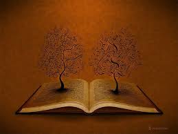 We've got 43+ great wallpaper images. Unusual Wallpapers For Desktop Wallpaper Cave