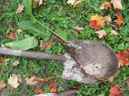 How to prepare vegetable garden in fall. Fall Cleanup In The Vegetable Garden 11 Tasks To Do Now The Old Farmer S Almanac