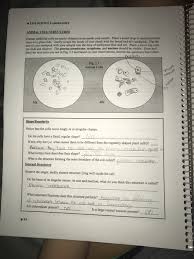 We did not find results for: Life Science Laboratory Human Epithelial Cells Are Chegg Com