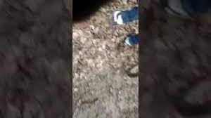 (figurat) copil rău, copil zglobiu, copil neascultător. Un Drac De Copil InjurÄƒ By Nicu Tanchistu Youtube