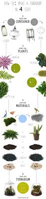 How To Throw A Terrarium Party Plants Succulent Terrarium How To Make Terrariums