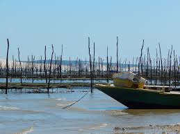 L Ostreiculture La France Pictures France